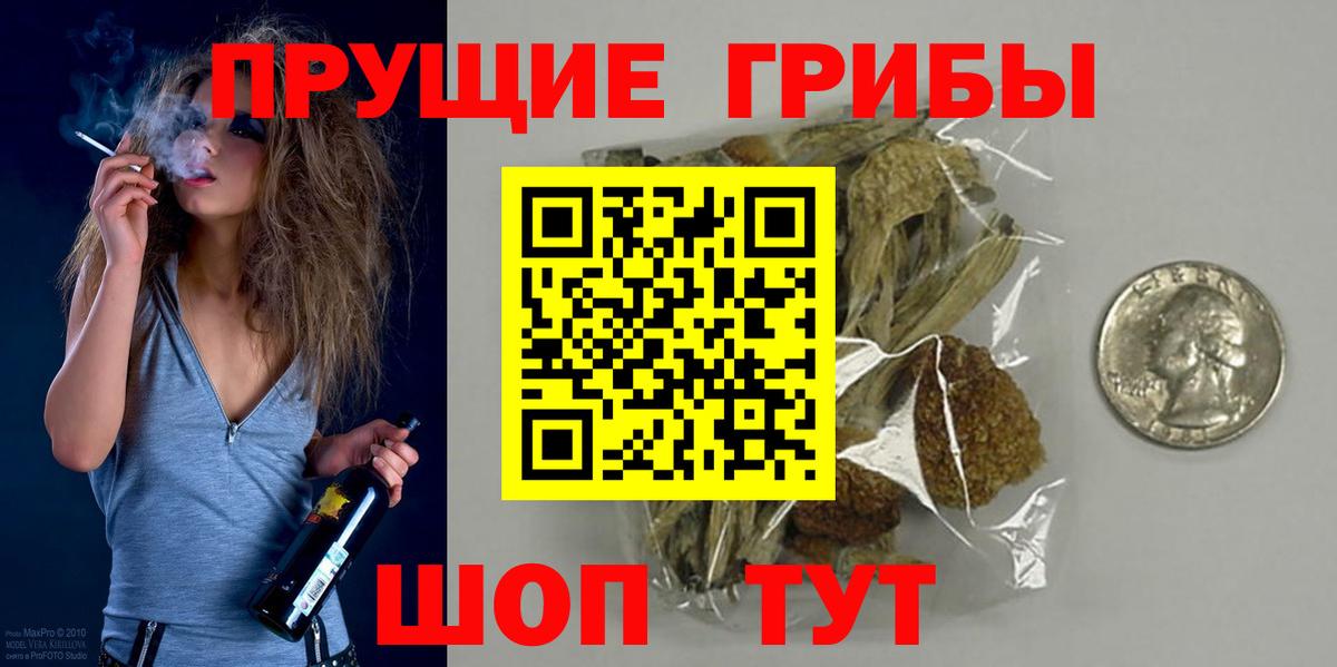 Волгодонск  Псилоцибиновые грибы мухоморы  Псилоцибиновые грибы мухоморы  купить закладку  Вход с VPN 